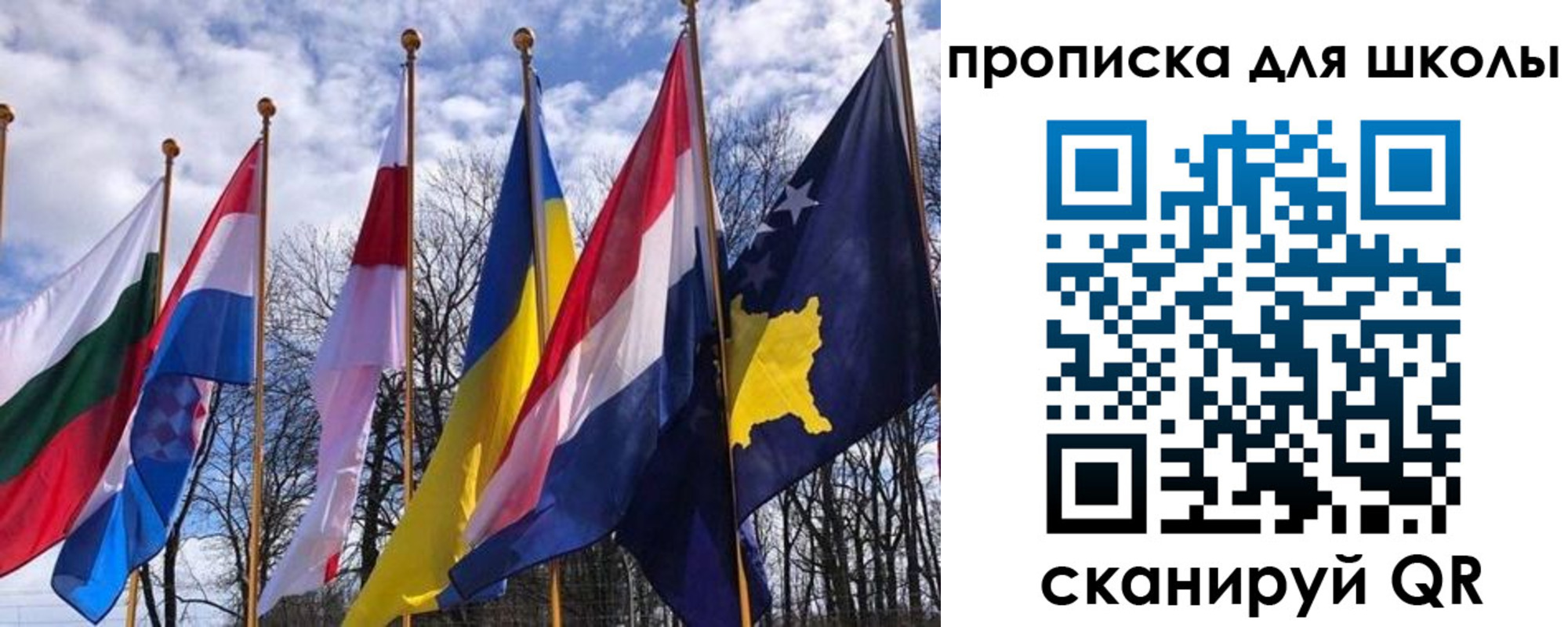 прописка штамп в Светогорске